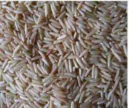 Manufacturers Exporters and Wholesale Suppliers of Sugandha Brown Rice Nagpur Maharashtra